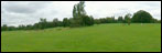 Field