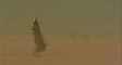 dassanech's video screenshot thumbnail