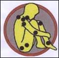 Fibromyalgia Syndrome Logo