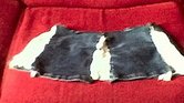 Denim Mini-skirt...