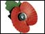 poppy