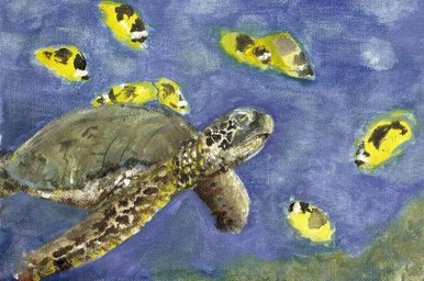 Turtle thingy