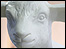 Soapy sheep