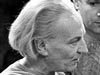 hartnell26
