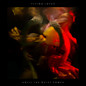 Review of Until the Quiet Comes