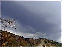 سردی