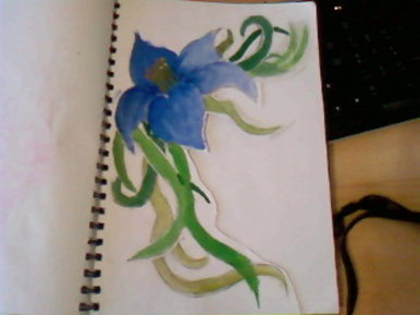 Flower