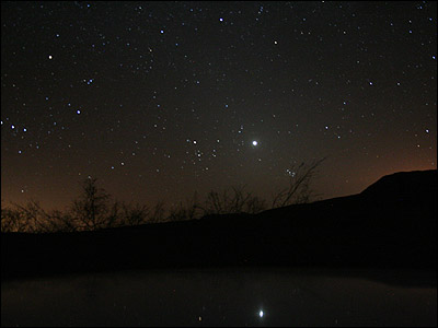 زهره