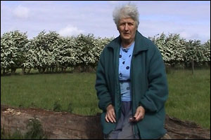Annis Tonkinson