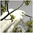 Northward Hill (Image: Egret)