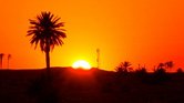 'Sunrise in the...