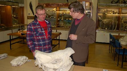 Adam Walton, Prof. Deri Tomos and Bangor University Museum's Rhinoceros Skull Adam Walton, Prof. Deri Tomos and Bangor University Museum's Rhinoceros Skull