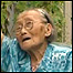 Cao Xuozheng