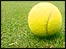 tennis ball