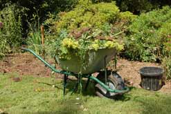 wheelbarrow full of weeds