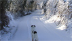 walking my dog above Maesteg by steve davies