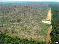 Amazônia