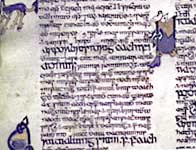 Image of a page from Brehon law tract
