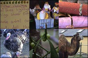Christmas montage