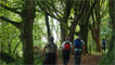 Pleasant woods alongside old ruined fisherman houses