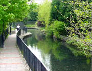 Camlas Pontardawe