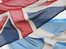 Scotland urged to 'stay in family'