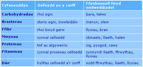 Bwyd a maethiad