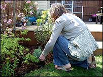 Planting