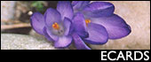 e-cards