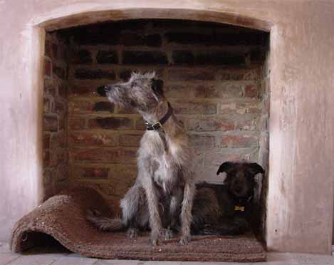 Alfie and Spike