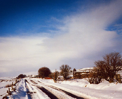 Photo showing white fields under a crisp blue sky