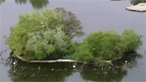 Crannog at Llangorse