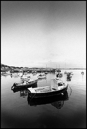 Newcastle Harbour