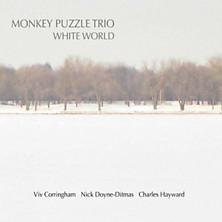 Review of White World