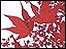 autumn leaves