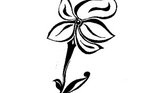 Stylised lily...