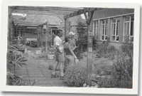Gardd yr ysgol
