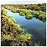 Thorne Moor c/o peter Roworth and Natural England