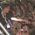 Scott Mills