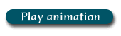 Play Animation