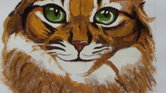 Tabby Cat