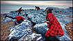 'On the rocks', de Miss Aniela