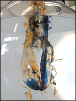 Dissolving clothes