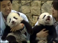 Pandas gêmeos