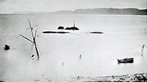 Crann na h-Iolaire