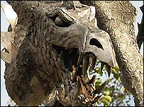 Sneinton dragon