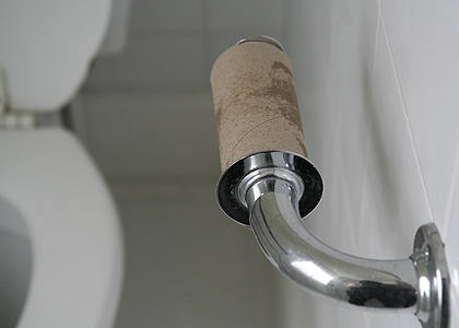 A universal symbol of a blokey house - no loo roll!