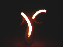 Fire Display