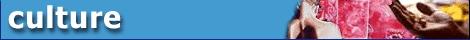 mini banner