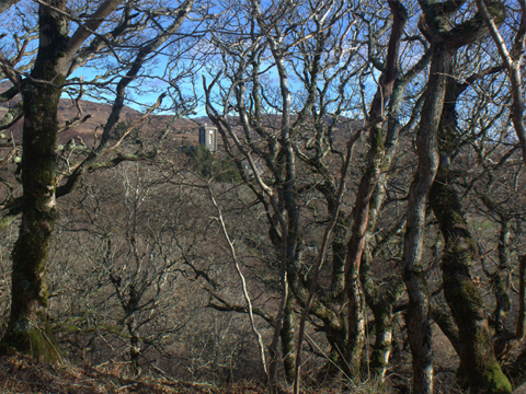 Colour view of St Mary's Church, Arisaig. The  tall, Gothic-style church tower can just be glimped through thick tree cover.